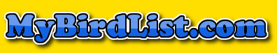 My Bird List Title